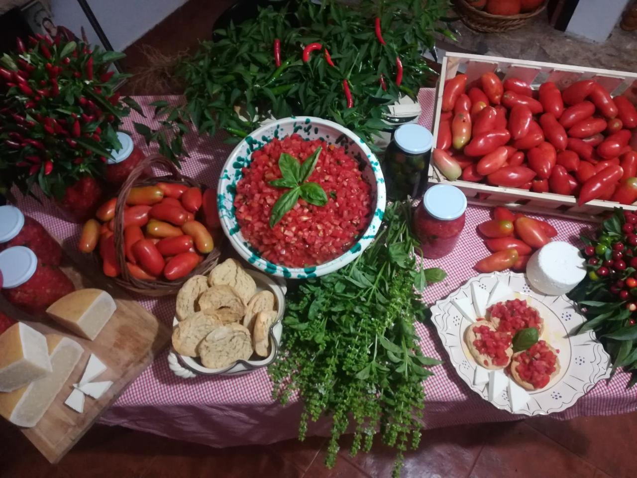 Agriturismo Torrevecchia サン・パンクラーツィオ・サレンティーノ エクステリア 写真
